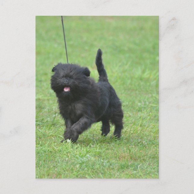 Postal Producto personalizar (Anverso)