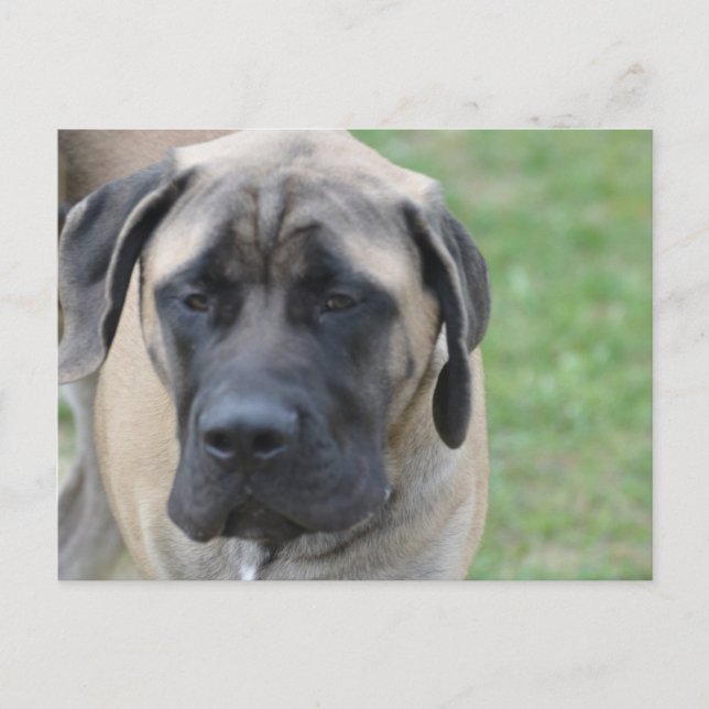 Postal Producto personalizar (Anverso)