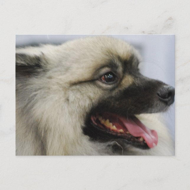 Postal Producto personalizar (Anverso)