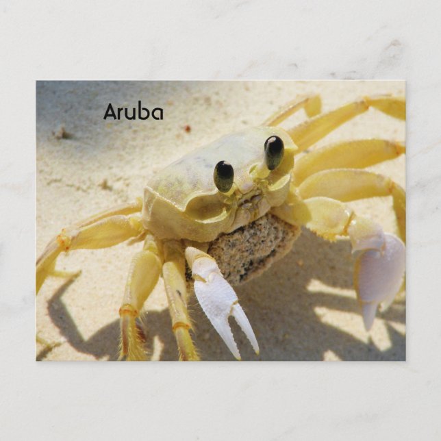 Postal Producto personalizar (Anverso)