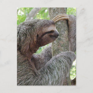 Postal Producto personalizar