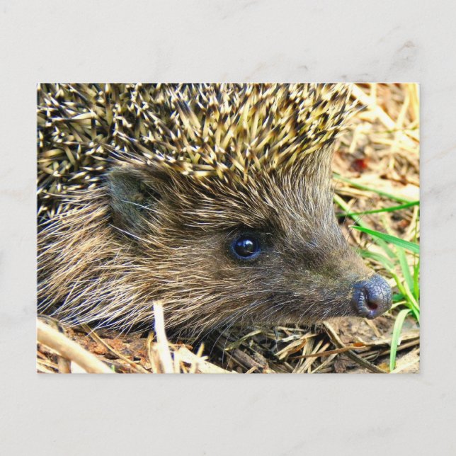 Postal Producto personalizar (Anverso)