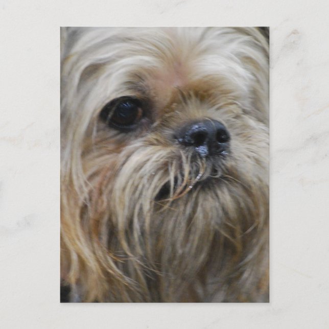 Postal Producto personalizar (Anverso)