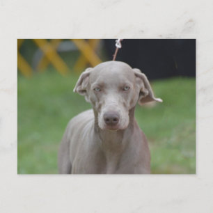 Postal Producto personalizar