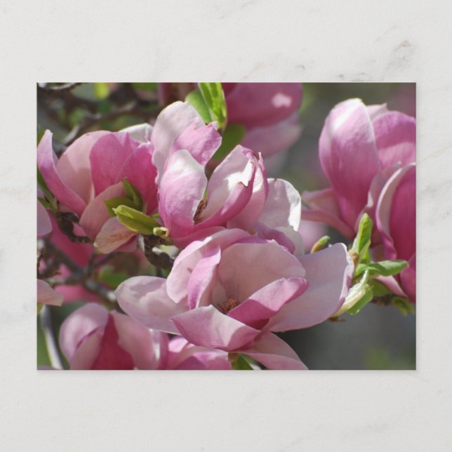 Postal Producto personalizar (Anverso)