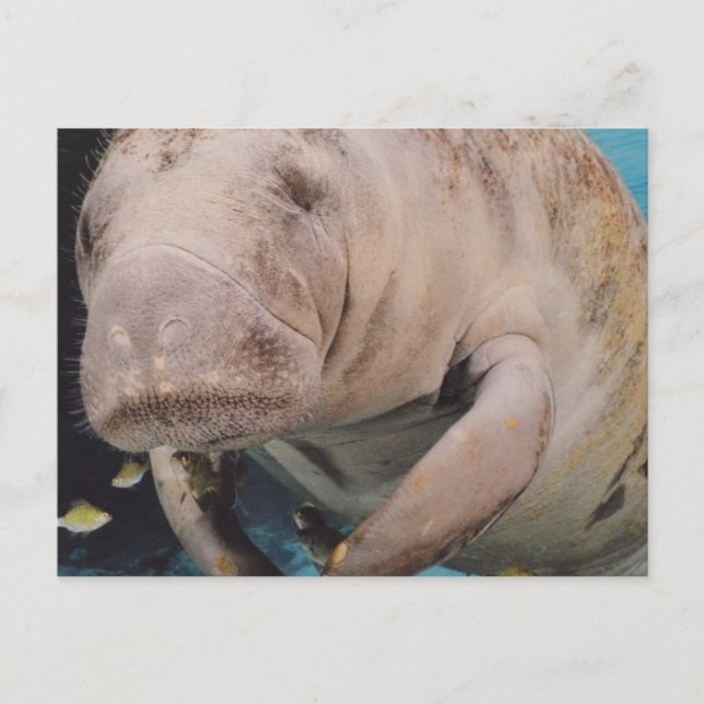 Postal Producto personalizar (Anverso)