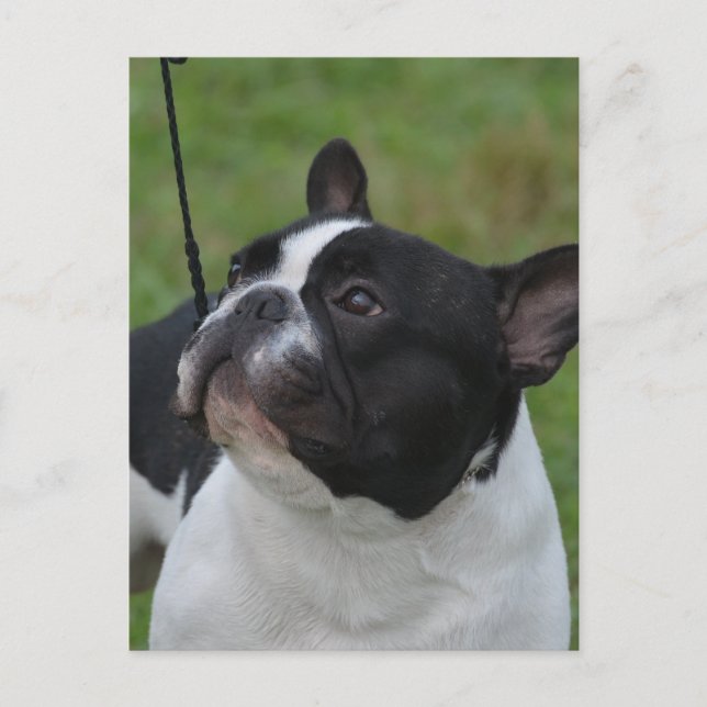 Postal Producto personalizar (Anverso)