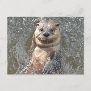 Postal Producto personalizar