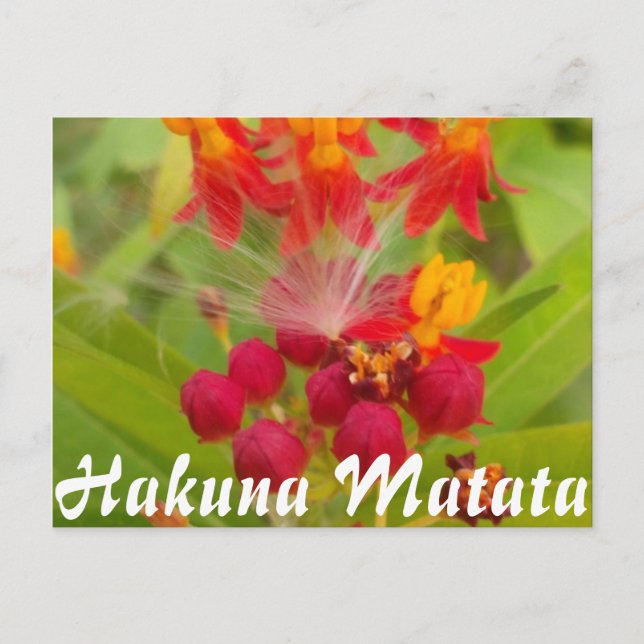 Postal Producto personalizar (Anverso)