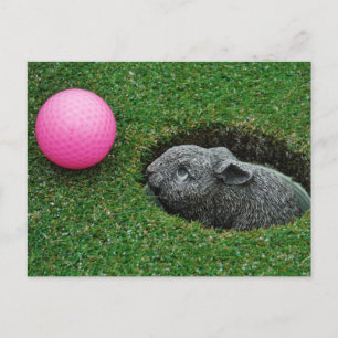 Postal Producto personalizar