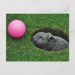 Postal Producto personalizar