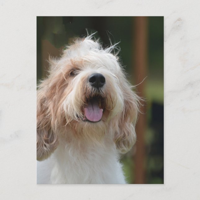 Postal Producto personalizar (Anverso)