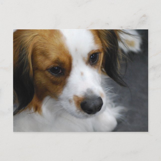 Postal Producto personalizar (Anverso)