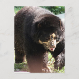 Postal Producto personalizar