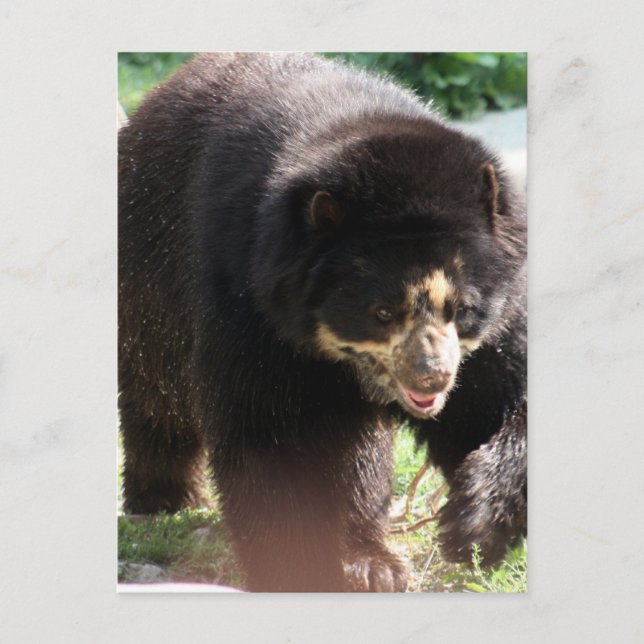 Postal Producto personalizar (Anverso)