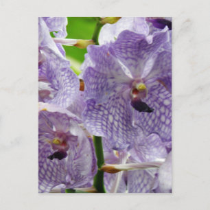 Postal Producto personalizar