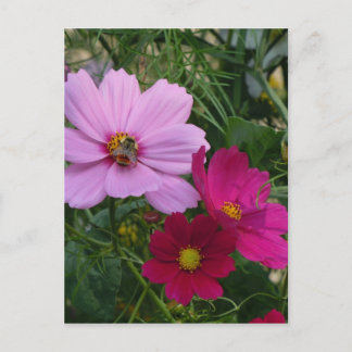 Postal Producto personalizar