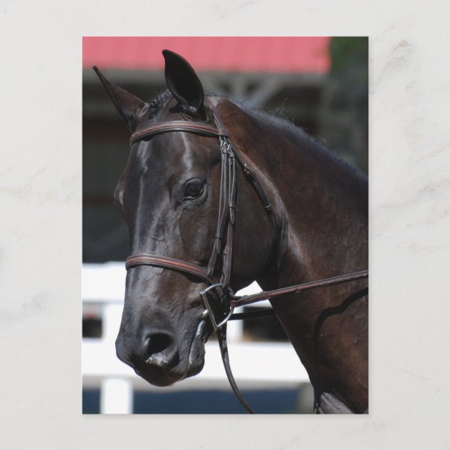 Postal Producto personalizar (Anverso)