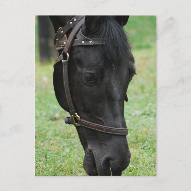 Postal Producto personalizar (Anverso)