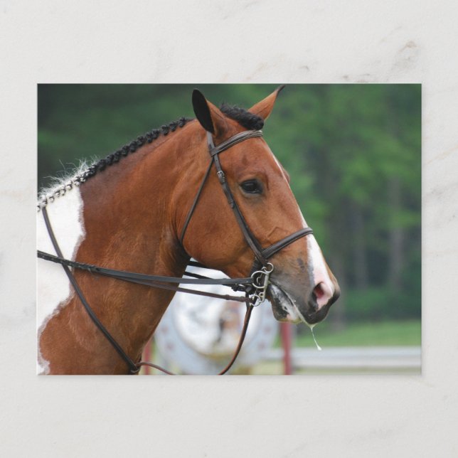 Postal Producto personalizar (Anverso)