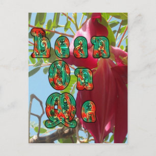 Postal Producto personalizar