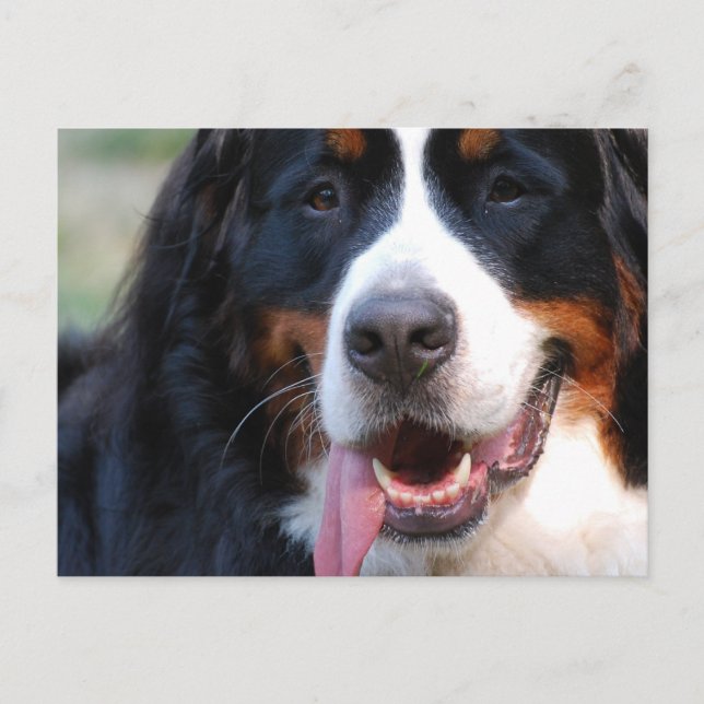 Postal Producto personalizar (Anverso)
