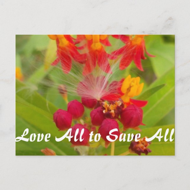 Postal Producto personalizar (Anverso)