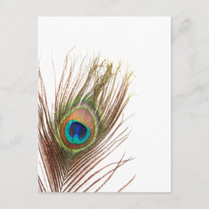 Postal Producto personalizar