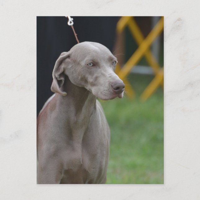 Postal Producto personalizar (Anverso)