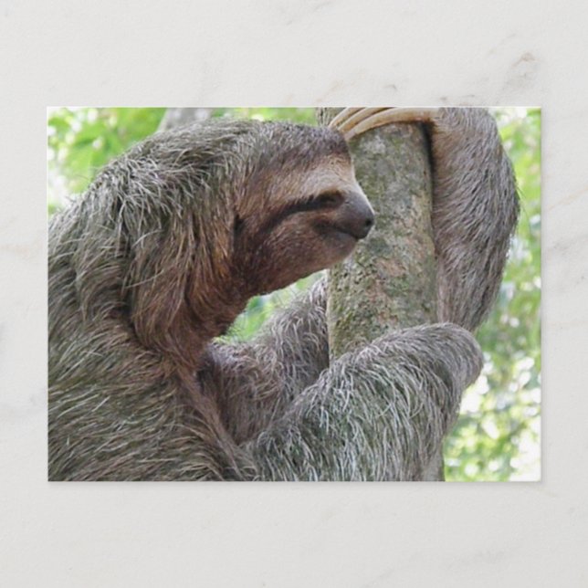 Postal Producto personalizar (Anverso)