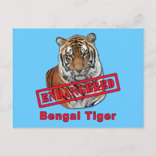 Postal Productos de tigre bengalí en peligro de extinción