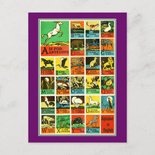 Postal Profesores y principiantes animales de la carta