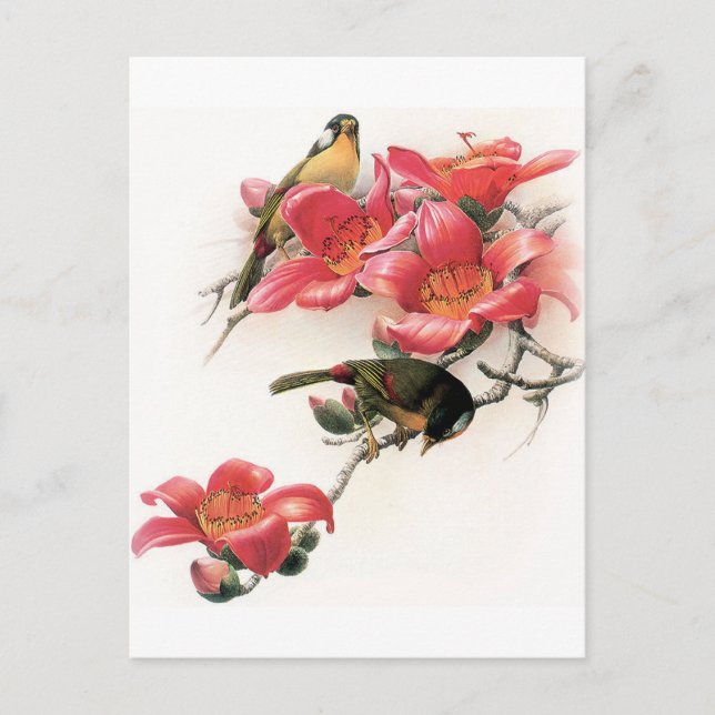 Postal Profusión rosa (Anverso)