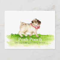 Promo de pug de perro de cerdo y servicios de sent