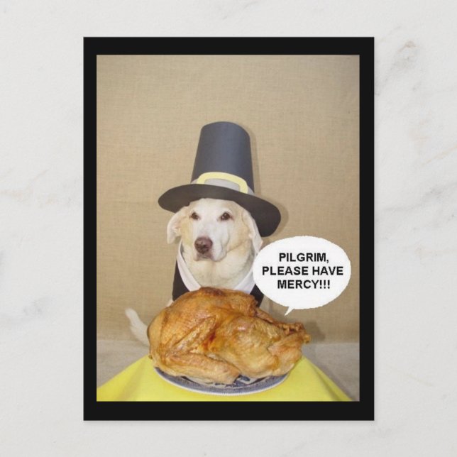 POSTAL PROMOCIÓN DE TURQUÍA (Anverso)