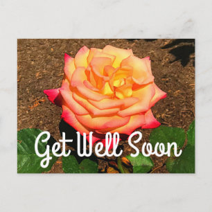 Postal Pronto Estarás Bien Sueño Hecho Realidad Rosa #3 T