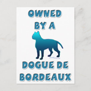Postal Propiedad de un perro de Burdeos