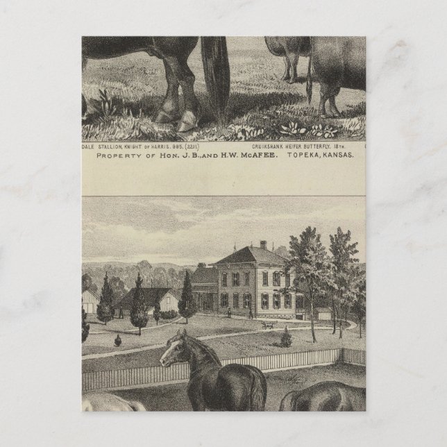 Postal Propiedad McAfee, Topeka McCrumb, Kansas (Anverso)