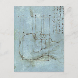 Postal Proporciones de la cabeza 1488 1489 ) es un dibujo