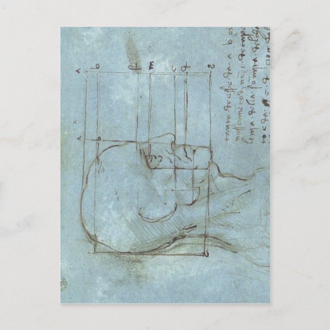 Postal Proporciones de la cabeza 1488 1489 ) es un dibujo (Anverso)