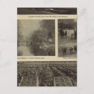 Postal Prosperidad, abundancia en Oregón