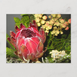 Postal Protea Bouquet