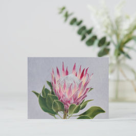 Postal Protea Postcard