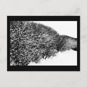 Postal protección de invierno