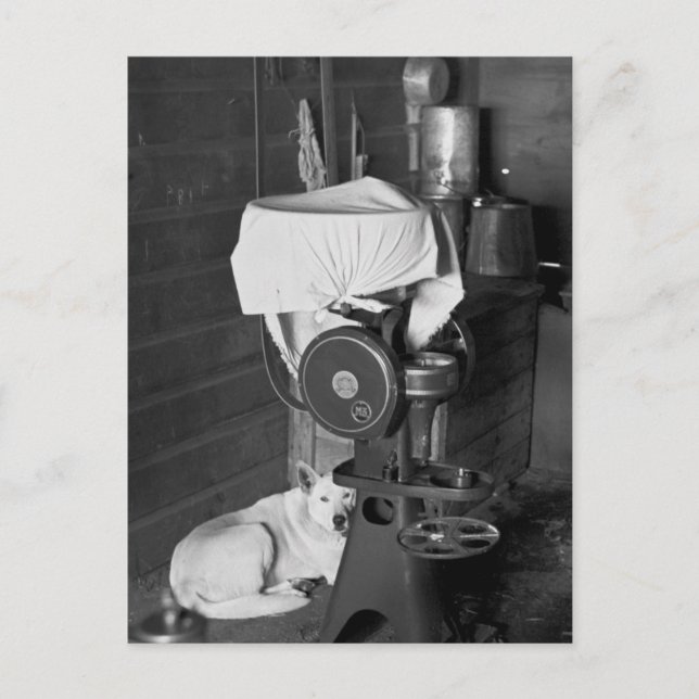 Postal Protección del separador de crema, 1936 (Anverso)