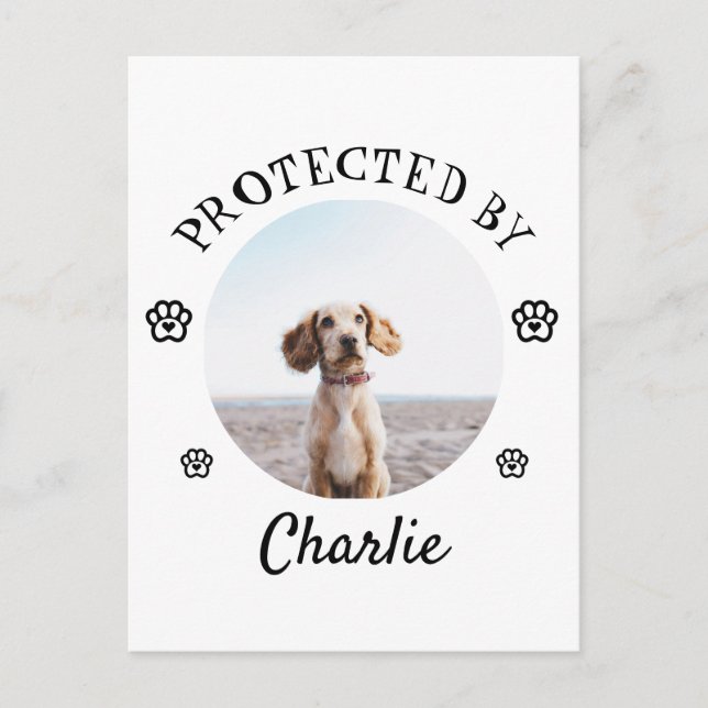 Postal Protected By Dog Photo Paw Print Design (Anverso)