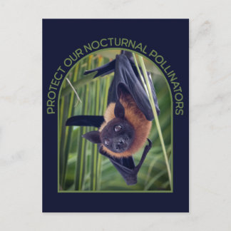 Postal Proteger Bats