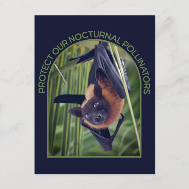 Postal Proteger Bats (Anverso)