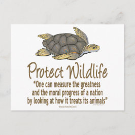 Postal Proteger las tortugas marinas