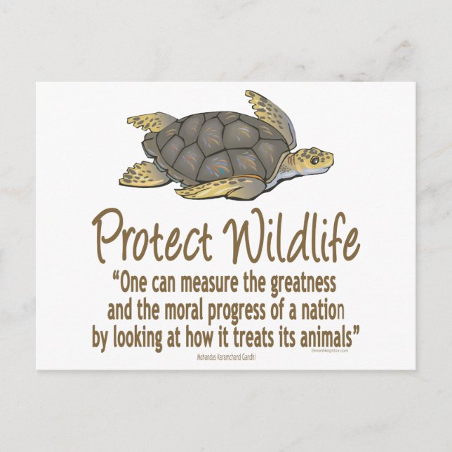 Postal Proteger las tortugas marinas (Anverso)